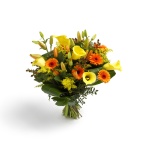 Product ID BOU10_28