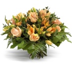 Product ID BOU10_138